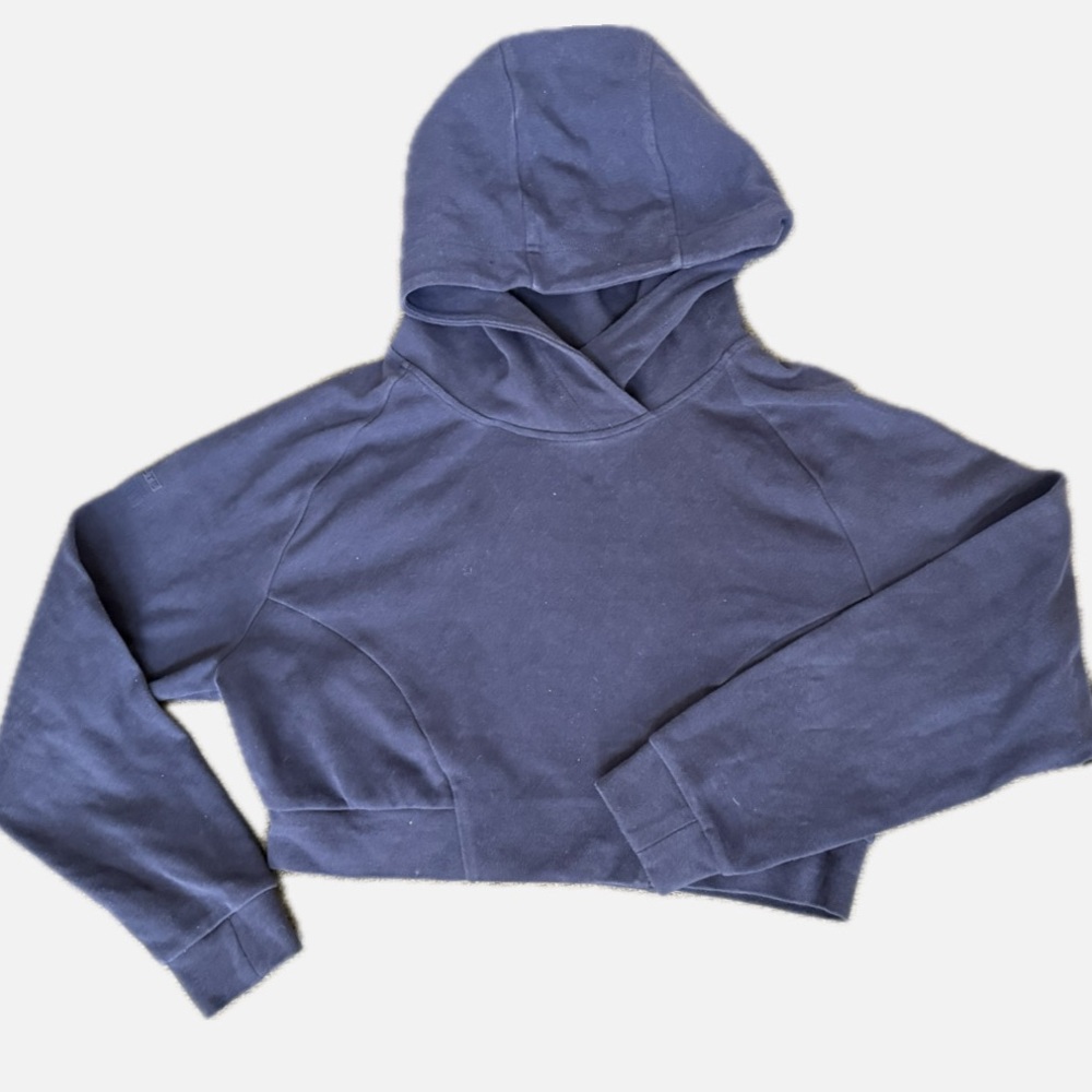 ALPHALETE Cropped Hoodie